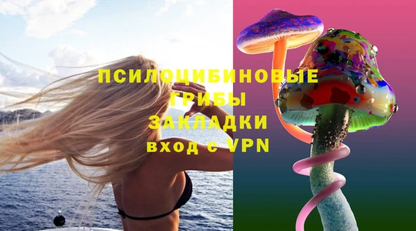 Альфа ПВП Магас
