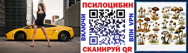 Галлюциногенные грибы MAGIC MUSHROOMS Бикин